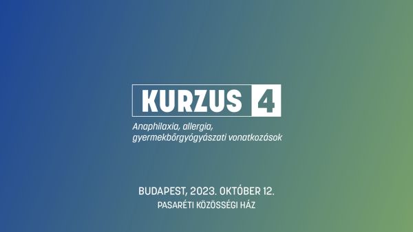 kurzus4_kivetítő.jpeg